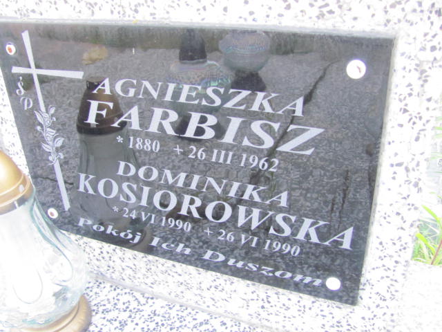 Anna Kosiorowska 1908 Tarnobrzeg Miechocin - Grobonet - Wyszukiwarka osób pochowanych