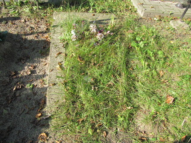  NN Tarnobrzeg Miechocin - Grobonet - Wyszukiwarka osób pochowanych