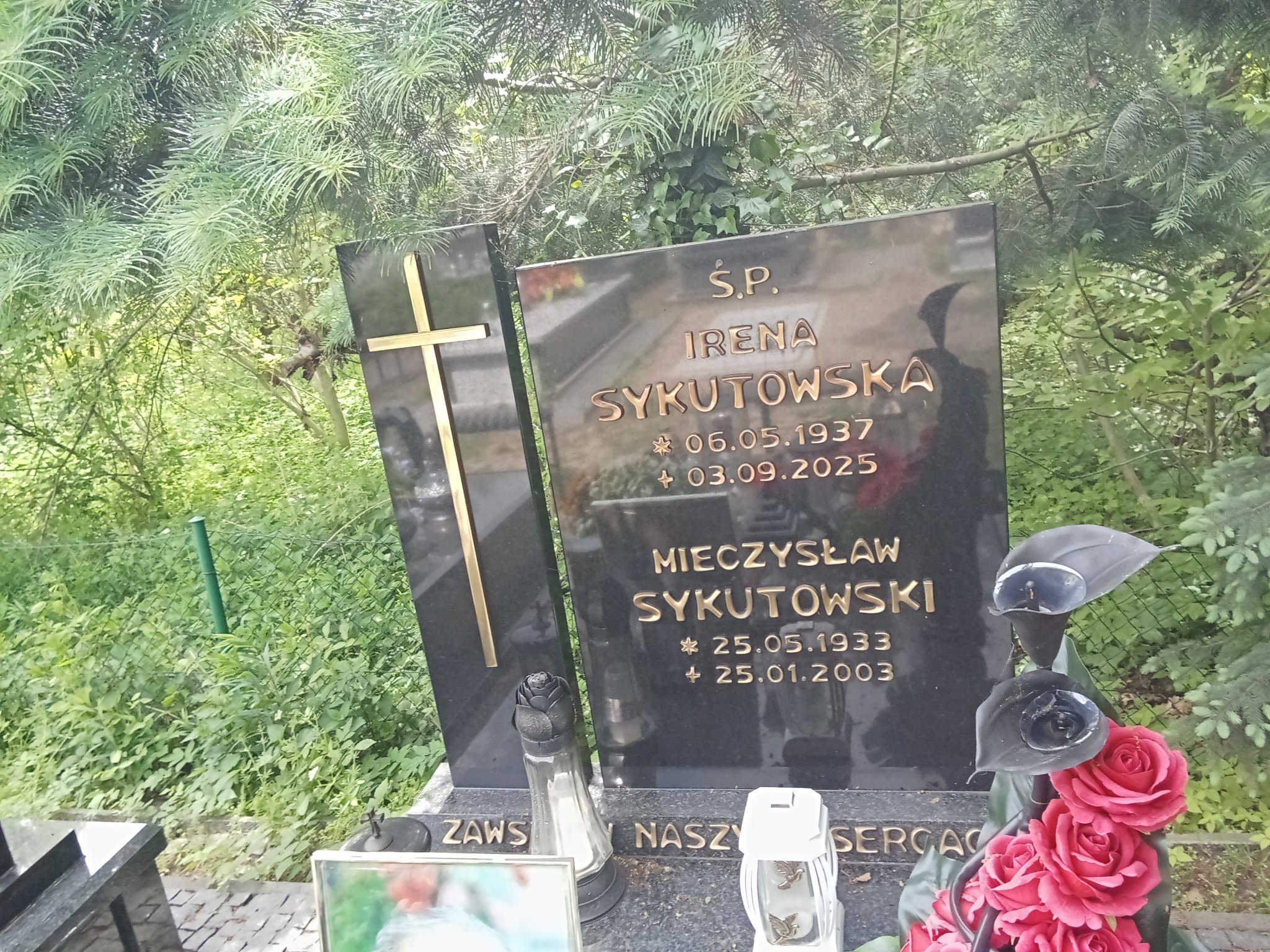 Mieczysław Sykutowski 1933 Tarnobrzeg Miechocin - Grobonet - Wyszukiwarka osób pochowanych
